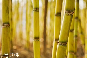 吃甘蔗臉會變大嗎？原來還有這么一說