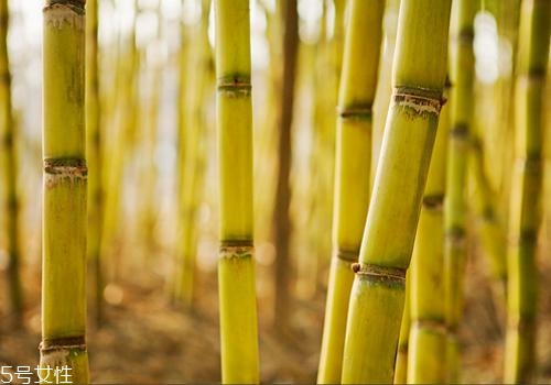 甘蔗熬水可以止咳嗎？來(lái)看看做法