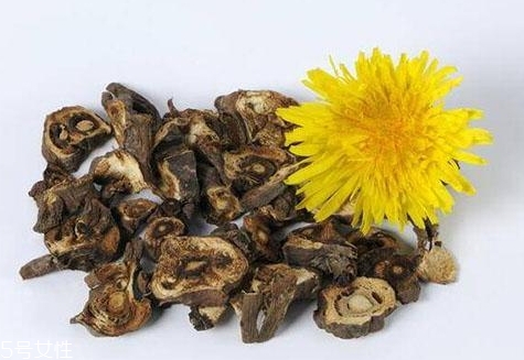 蒲公英茶超市有賣的嗎？去藥房看看