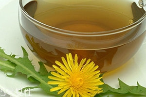 蒲公英用開(kāi)水泡嗎？煮一煮效果會(huì)更好