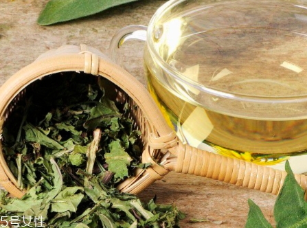蒲公英茶能減肥嗎？要這樣搭配