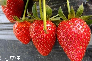 寶寶咳嗽可以吃草莓嗎？看是什么類型的咳嗽