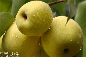 晚上吃梨子會(huì)胖嗎？梨不能和開(kāi)水一起吃