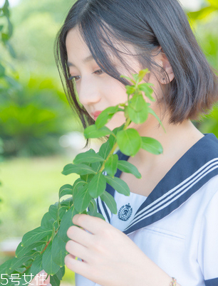 舒爾佳會反彈嗎？減肥不反彈的好方法