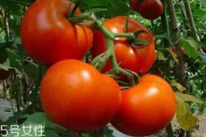 空腹不能吃什么？這4種最好不要吃