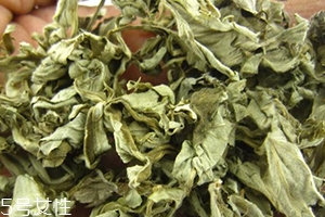 艾葉水可以洗外陰嗎？可以起到殺菌的作用