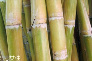 甘蔗吃多了對(duì)牙齒好嗎？有可能損傷牙齒