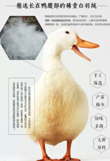 lets diet羽絨褲多少錢(qián)？lets diet羽絨褲保暖又修身