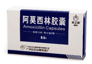 阿莫西林可以和牛奶一起吃嗎？牛奶和阿莫西林不沖突