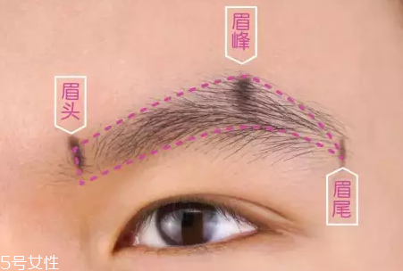 眉型常見失誤有哪些？眉頭壓實很難看