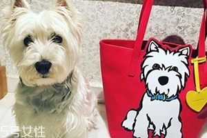 marc tetro是什么牌子？美國(guó)高性價(jià)比包包品牌