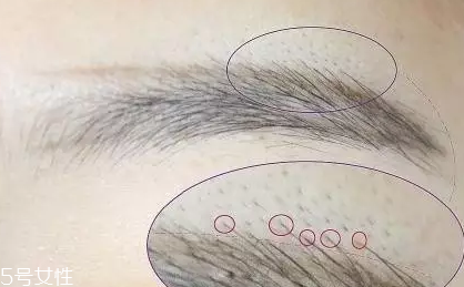 自然不做作的毛流眉怎么畫？紋理清晰有弧度