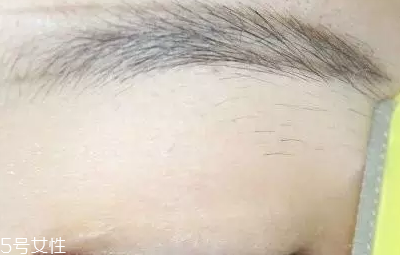 自然不做作的毛流眉怎么畫？紋理清晰有弧度