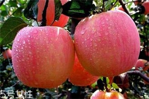 空腹吃蘋果好不好？一天最多吃幾個蘋果？