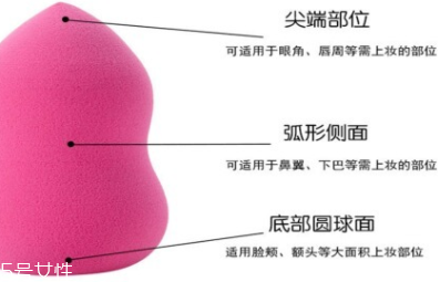 立體化妝粉撲有哪些用途？小身材大功效