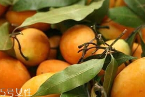 枇杷芒多少錢一斤？品質(zhì)越好價格越貴