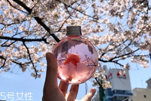 奈良金箔櫻花酒多少錢？奈良櫻花酒好喝嗎
