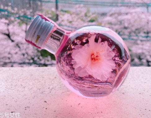 奈良金箔櫻花酒多少錢(qián)？奈良櫻花酒好喝嗎