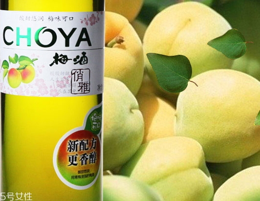choya梅酒多少錢？多少度？