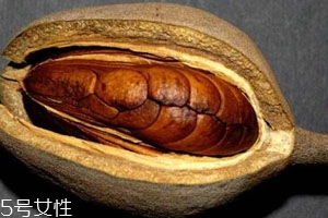 向天果的用量 根據(jù)自身情況選擇服用量。