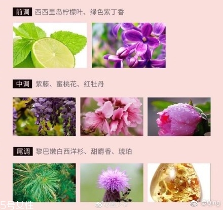 瀘州老窖香水多少錢？你身上有他的白酒味