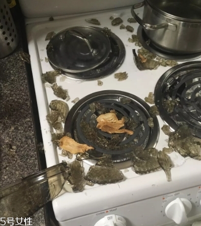 康寧鍋會爆炸嗎？請小心使用