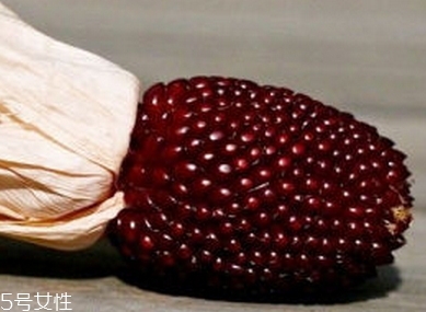 草莓玉米多少錢一斤？酷似草莓的玉米