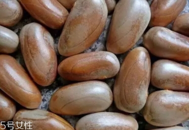 榴蓮蜜怎么吃？不同的吃法風(fēng)格