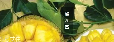 榴蓮蜜哪里能吃？哪里不能吃