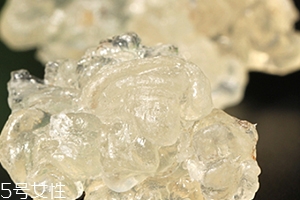 雪燕怎么清洗？雪燕怎么挑雜質(zhì)