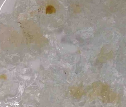 雪燕和桃膠能一起燉嗎？