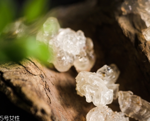 雪燕和銀耳哪個(gè)好？其實(shí)可以一起食用