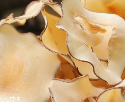 海底椰怎么吃？海底椰的做法