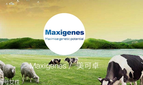 藍胖子奶粉和德運奶粉哪個好？