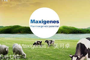 藍(lán)胖子奶粉適合什么人？成人可以喝嗎？