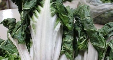牛皮菜是發(fā)物嗎？牛皮菜有毒嗎