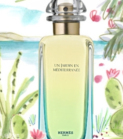dior迪奧香水和愛馬仕香水哪個好？