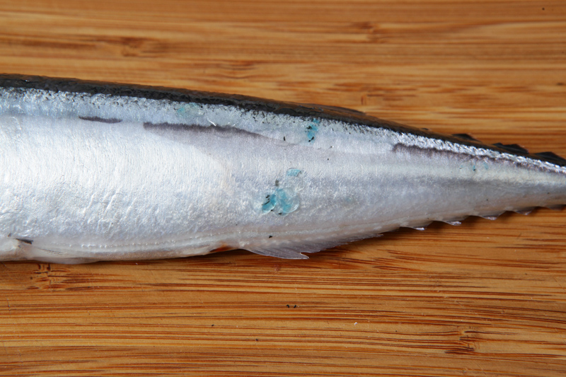 秋刀魚怎么處理？秋刀魚怎么挑選