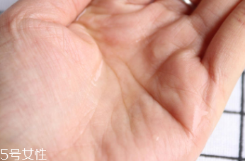 悅木之源和伊麗莎白雅頓哪個(gè)好？?jī)煽罹A大比拼