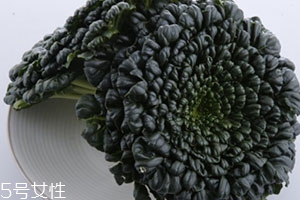 塔菜多少錢一斤？塔菜又稱菊花菜