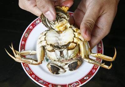 陽澄湖大閘蟹怎么吃？食陽澄湖大閘蟹注意事項
