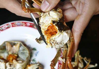 陽澄湖大閘蟹怎么吃？食陽澄湖大閘蟹注意事項