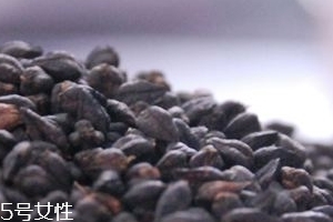 黑苦蕎茶上火嗎？蒸煮法苦蕎茶不上火
