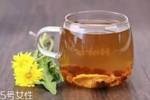 蒲公英茶可以天天喝嗎？不要長期喝