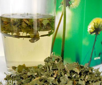蒲公英茶可以天天喝嗎？不要長期喝