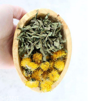 蒲公英茶哪些人不宜喝？這三種人要避開
