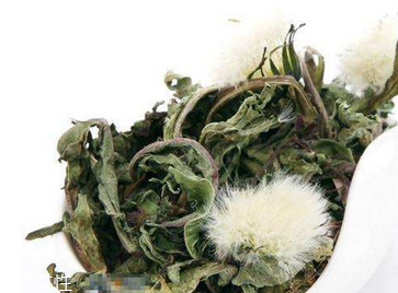 蒲公英茶怎么做？蒲公英茶做法超簡(jiǎn)單