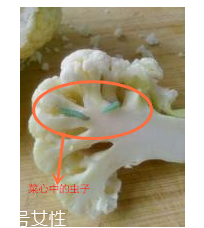 花菜怎么洗才干凈？一定要把蟲子洗掉