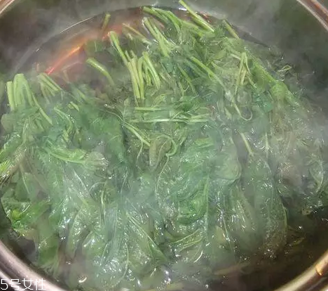 香椿涼拌怎么做好吃？超級簡單的3道開胃菜