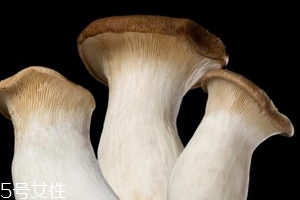 杏鮑菇怎么洗才干凈？鹽水泡泡輕松去污